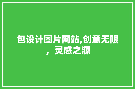 包设计图片网站,创意无限，灵感之源