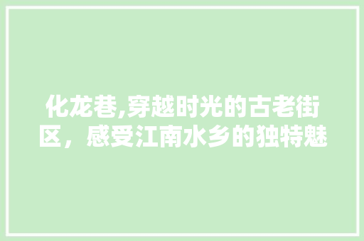 化龙巷,穿越时光的古老街区，感受江南水乡的独特魅力 化龙巷,穿越时光的古老街区，感受江南水乡的独特魅力 百度SEO