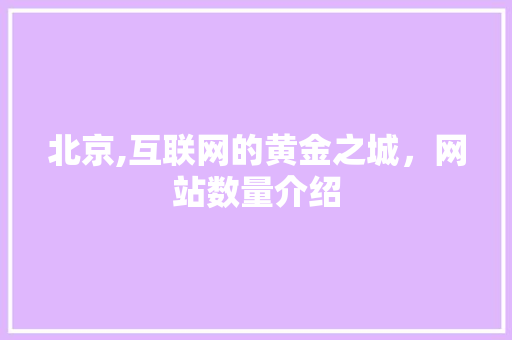 北京,互联网的黄金之城，网站数量介绍 北京,互联网的黄金之城，网站数量介绍 网站建设公司