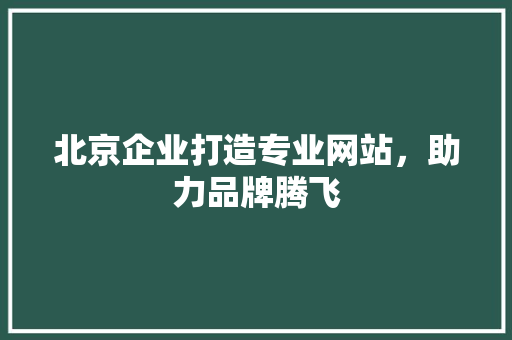 北京企业打造专业网站，助力品牌腾飞 北京企业打造专业网站，助力品牌腾飞 SEO关键词