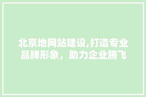 北京地网站建设,打造专业品牌形象，助力企业腾飞 北京地网站建设,打造专业品牌形象，助力企业腾飞 网站建设公司