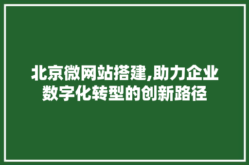 北京微网站搭建,助力企业数字化转型的创新路径 北京微网站搭建,助力企业数字化转型的创新路径 搜狗SEO