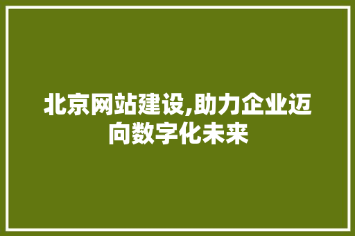 北京网站建设,助力企业迈向数字化未来 北京网站建设,助力企业迈向数字化未来 网站建设公司