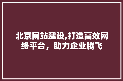 北京网站建设,打造高效网络平台，助力企业腾飞 北京网站建设,打造高效网络平台，助力企业腾飞 网站建设公司