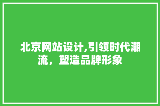 北京网站设计,引领时代潮流，塑造品牌形象 北京网站设计,引领时代潮流，塑造品牌形象 网站建设公司