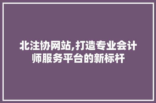 北注协网站,打造专业会计师服务平台的新标杆 北注协网站,打造专业会计师服务平台的新标杆 百度SEO
