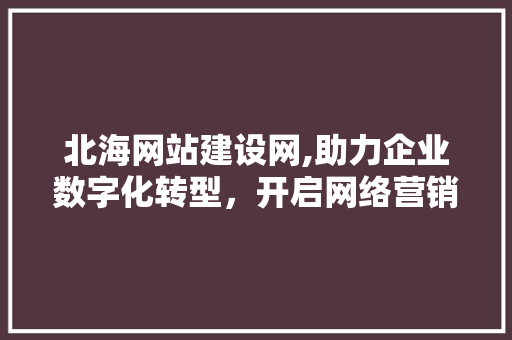 北海网站建设网,助力企业数字化转型，开启网络营销新篇章
