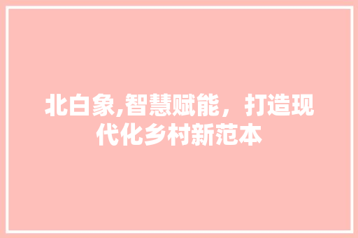 北白象,智慧赋能，打造现代化乡村新范本