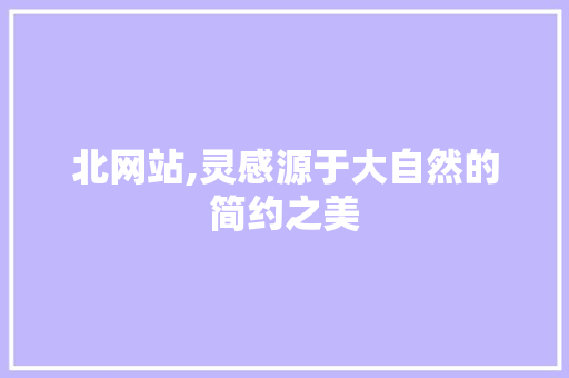 北网站,灵感源于大自然的简约之美