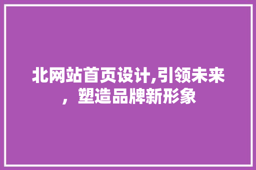 北网站首页设计,引领未来，塑造品牌新形象 北网站首页设计,引领未来，塑造品牌新形象 网站建设公司