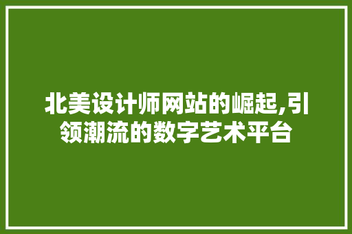 北美设计师网站的崛起,引领潮流的数字艺术平台 北美设计师网站的崛起,引领潮流的数字艺术平台 SEO关键词