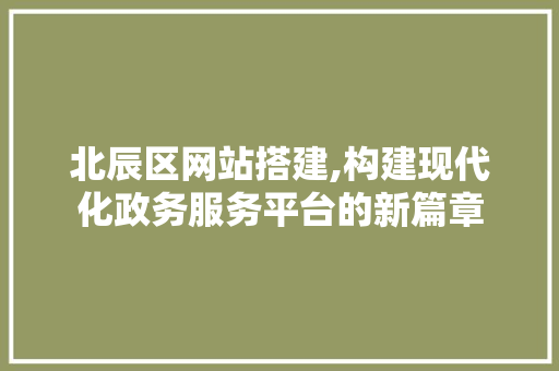 北辰区网站搭建,构建现代化政务服务平台的新篇章 北辰区网站搭建,构建现代化政务服务平台的新篇章 必应SEO
