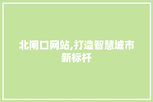 北闸口网站,打造智慧城市新标杆 北闸口网站,打造智慧城市新标杆 必应SEO