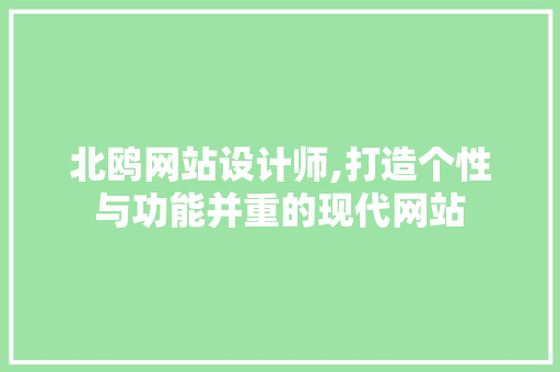 北鸥网站设计师,打造个性与功能并重的现代网站