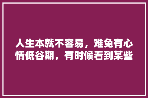 人生本就不容易，难免有心情低谷期，有时候看到某些句子，总感觉丧到不行。那么你听过最丧的句子是什么呢,为什么叫纸牌屋。 人生本就不容易，难免有心情低谷期，有时候看到某些句子，总感觉丧到不行。那么你听过最丧的句子是什么呢,为什么叫纸牌屋。 必应SEO
