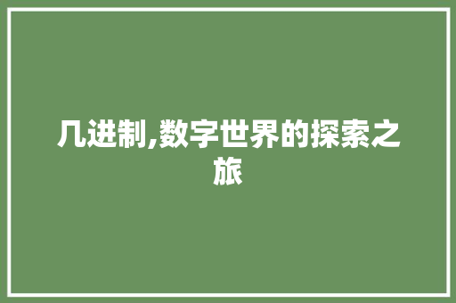 几进制,数字世界的探索之旅 几进制,数字世界的探索之旅 必应SEO