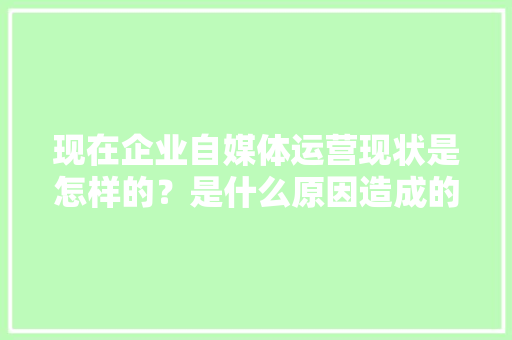 现在企业自媒体运营现状是怎样的？是什么原因造成的,企业为什么需要自媒体运营。 现在企业自媒体运营现状是怎样的？是什么原因造成的,企业为什么需要自媒体运营。 SEO关键词