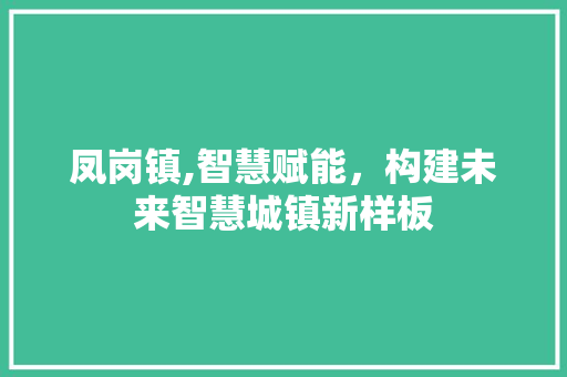 凤岗镇,智慧赋能，构建未来智慧城镇新样板 凤岗镇,智慧赋能，构建未来智慧城镇新样板 百度SEO