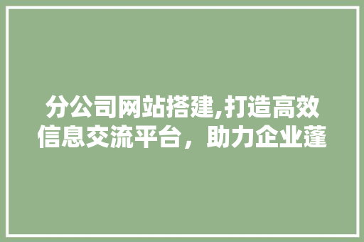 分公司网站搭建,打造高效信息交流平台，助力企业蓬勃发展 分公司网站搭建,打造高效信息交流平台，助力企业蓬勃发展 网站建设公司