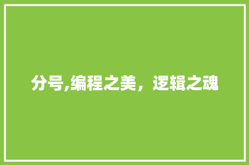 分号,编程之美，逻辑之魂 分号,编程之美，逻辑之魂 百度SEO