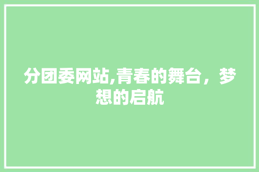 分团委网站,青春的舞台，梦想的启航 分团委网站,青春的舞台，梦想的启航 SEO关键词