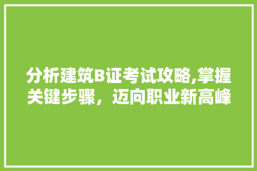 分析建筑B证考试攻略,掌握关键步骤，迈向职业新高峰 分析建筑B证考试攻略,掌握关键步骤，迈向职业新高峰 必应SEO