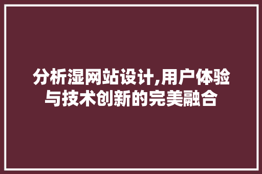 分析湿网站设计,用户体验与技术创新的完美融合 分析湿网站设计,用户体验与技术创新的完美融合 SEO关键词