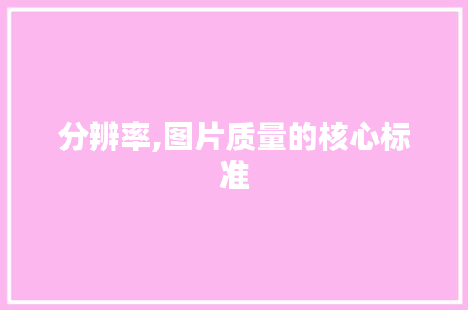 分辨率,图片质量的核心标准 分辨率,图片质量的核心标准 百度SEO