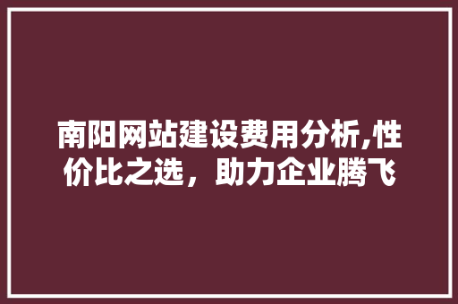 南阳网站建设费用分析,性价比之选，助力企业腾飞 南阳网站建设费用分析,性价比之选，助力企业腾飞 网站建设公司