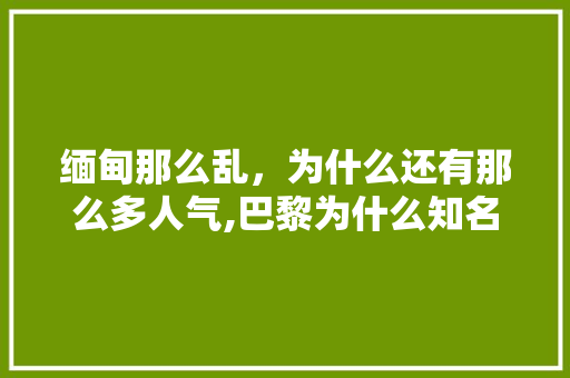 缅甸那么乱，为什么还有那么多人气,巴黎为什么知名度那么高呢。 缅甸那么乱，为什么还有那么多人气,巴黎为什么知名度那么高呢。 SEO关键词