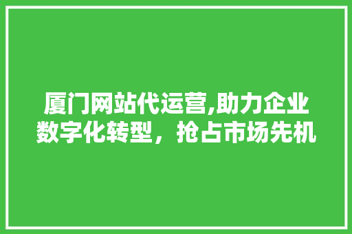 厦门网站代运营,助力企业数字化转型，抢占市场先机 厦门网站代运营,助力企业数字化转型，抢占市场先机 百度SEO