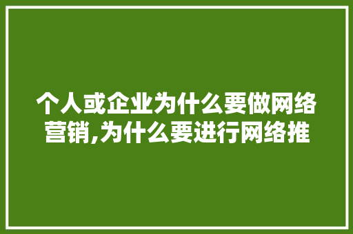 个人或企业为什么要做网络营销,为什么要进行网络推广呢。 个人或企业为什么要做网络营销,为什么要进行网络推广呢。 网站建设公司