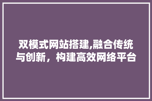 双模式网站搭建,融合传统与创新，构建高效网络平台