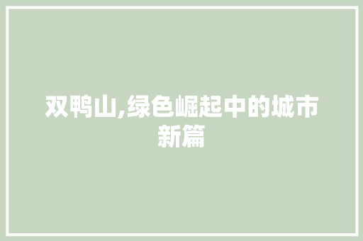 双鸭山,绿色崛起中的城市新篇 双鸭山,绿色崛起中的城市新篇 神马SEO