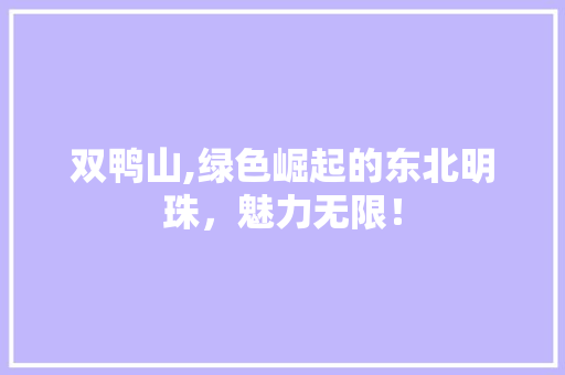 双鸭山,绿色崛起的东北明珠，魅力无限！ 神马SEO