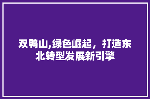 双鸭山,绿色崛起，打造东北转型发展新引擎 双鸭山,绿色崛起，打造东北转型发展新引擎 神马SEO