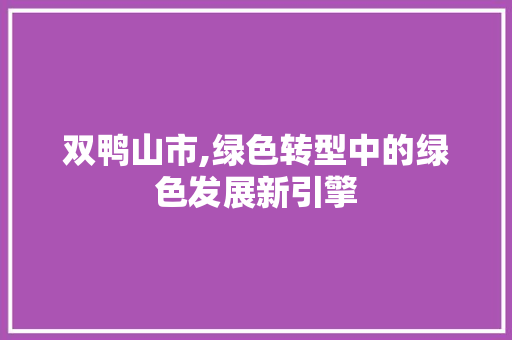 双鸭山市,绿色转型中的绿色发展新引擎 双鸭山市,绿色转型中的绿色发展新引擎 神马SEO