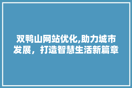 双鸭山网站优化,助力城市发展，打造智慧生活新篇章 双鸭山网站优化,助力城市发展，打造智慧生活新篇章 SEO关键词