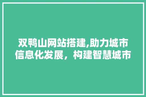 双鸭山网站搭建,助力城市信息化发展，构建智慧城市新格局 双鸭山网站搭建,助力城市信息化发展，构建智慧城市新格局 百度SEO