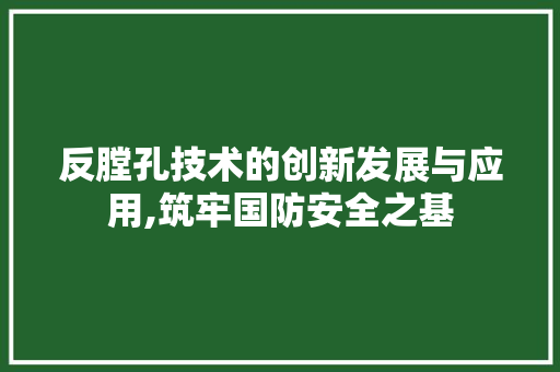 反膛孔技术的创新发展与应用,筑牢国防安全之基 反膛孔技术的创新发展与应用,筑牢国防安全之基 必应SEO