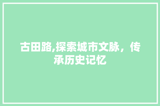 古田路,探索城市文脉，传承历史记忆 古田路,探索城市文脉，传承历史记忆 必应SEO