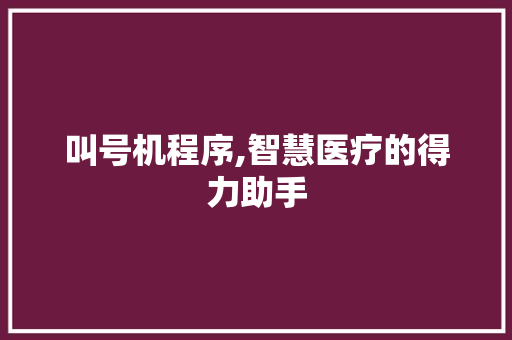 叫号机程序,智慧医疗的得力助手 叫号机程序,智慧医疗的得力助手 SEO关键词