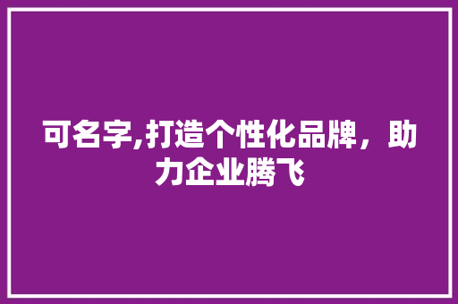 可名字,打造个性化品牌，助力企业腾飞 可名字,打造个性化品牌，助力企业腾飞 百度SEO
