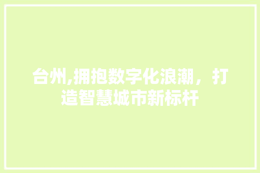 台州,拥抱数字化浪潮，打造智慧城市新标杆 台州,拥抱数字化浪潮，打造智慧城市新标杆 网站建设公司