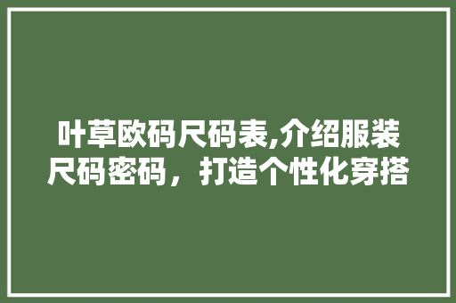 叶草欧码尺码表,介绍服装尺码密码，打造个性化穿搭 叶草欧码尺码表,介绍服装尺码密码，打造个性化穿搭 SEO关键词