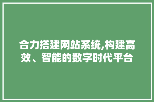 合力搭建网站系统,构建高效、智能的数字时代平台