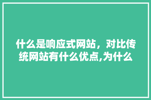 什么是响应式网站，对比传统网站有什么优点,为什么需要响应式网站呢。 什么是响应式网站，对比传统网站有什么优点,为什么需要响应式网站呢。 百度SEO