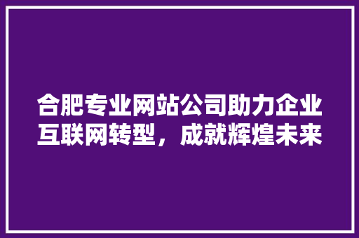 合肥专业网站公司助力企业互联网转型，成就辉煌未来 合肥专业网站公司助力企业互联网转型，成就辉煌未来 必应SEO