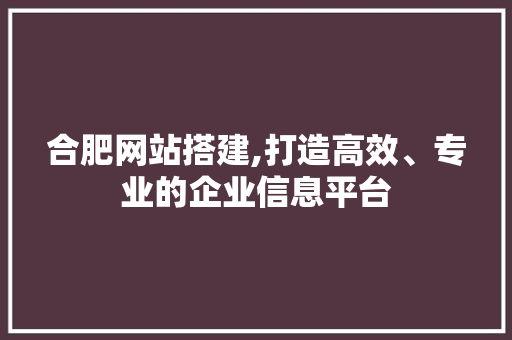 合肥网站搭建,打造高效、专业的企业信息平台 合肥网站搭建,打造高效、专业的企业信息平台 百度SEO