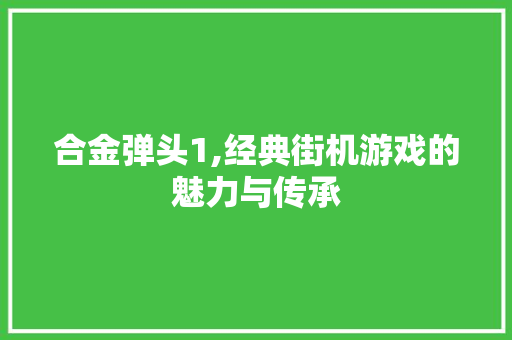 合金弹头1,经典街机游戏的魅力与传承 合金弹头1,经典街机游戏的魅力与传承 百度SEO
